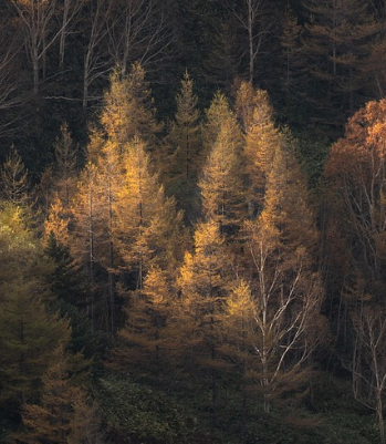 Harmony brings wealth